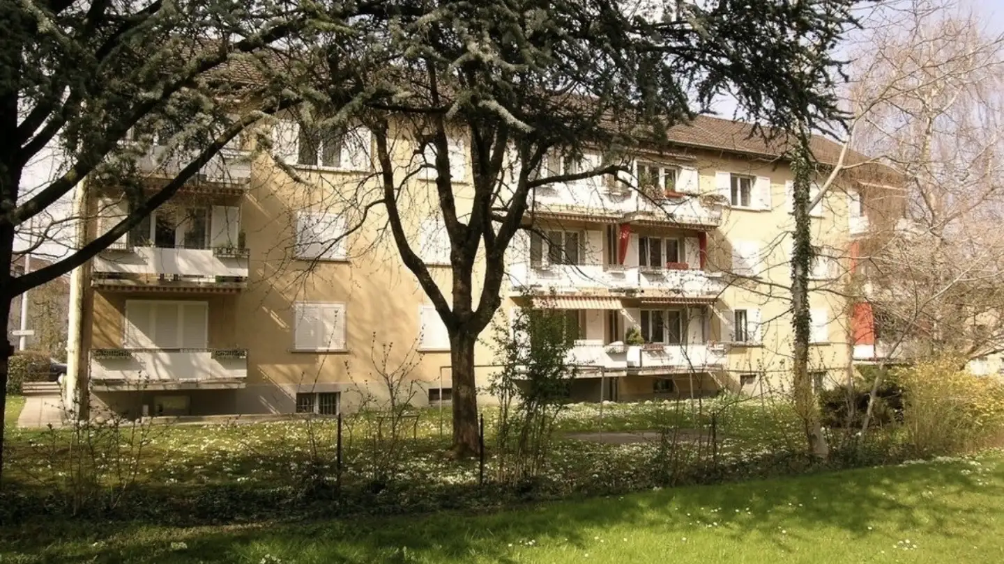 Chambre à louer - Altstetterstrasse 297, 8047 Zürich - Photo 4