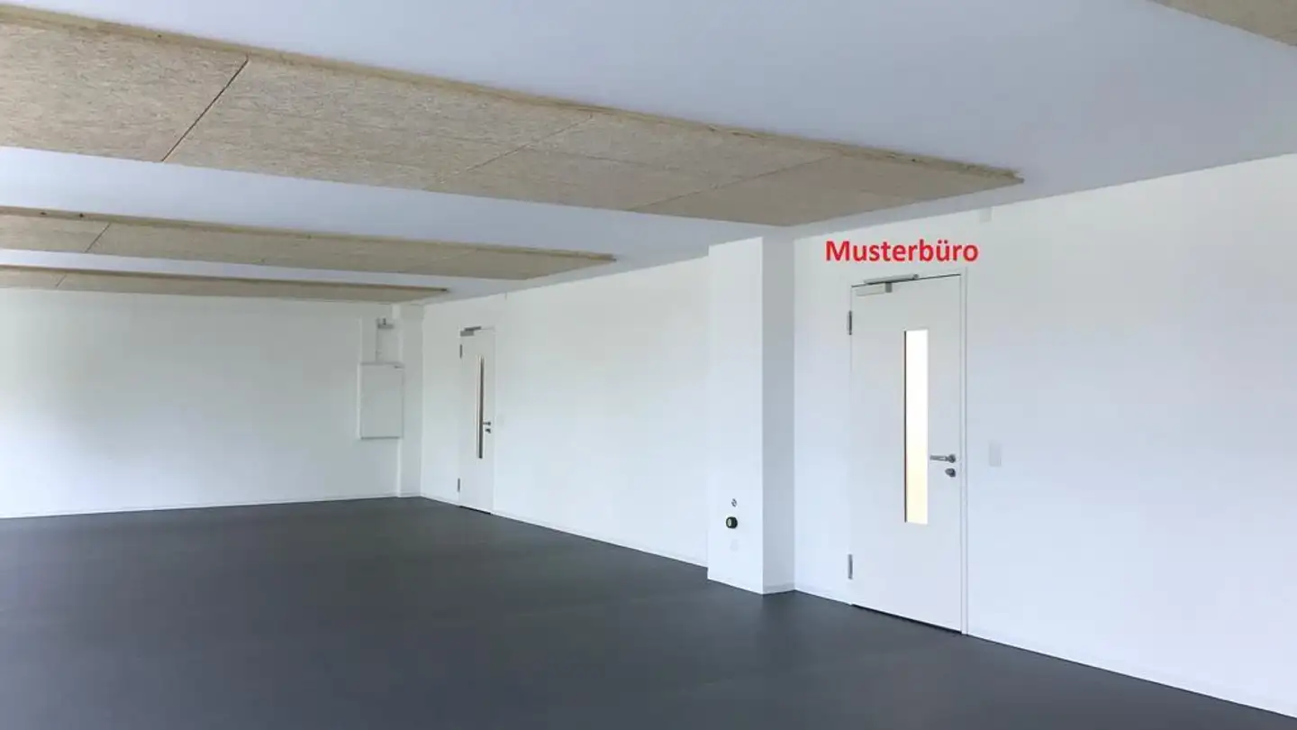 Spazio ufficio in affitto - Dornacherstrasse 210, 4053 Basel - Foto 2