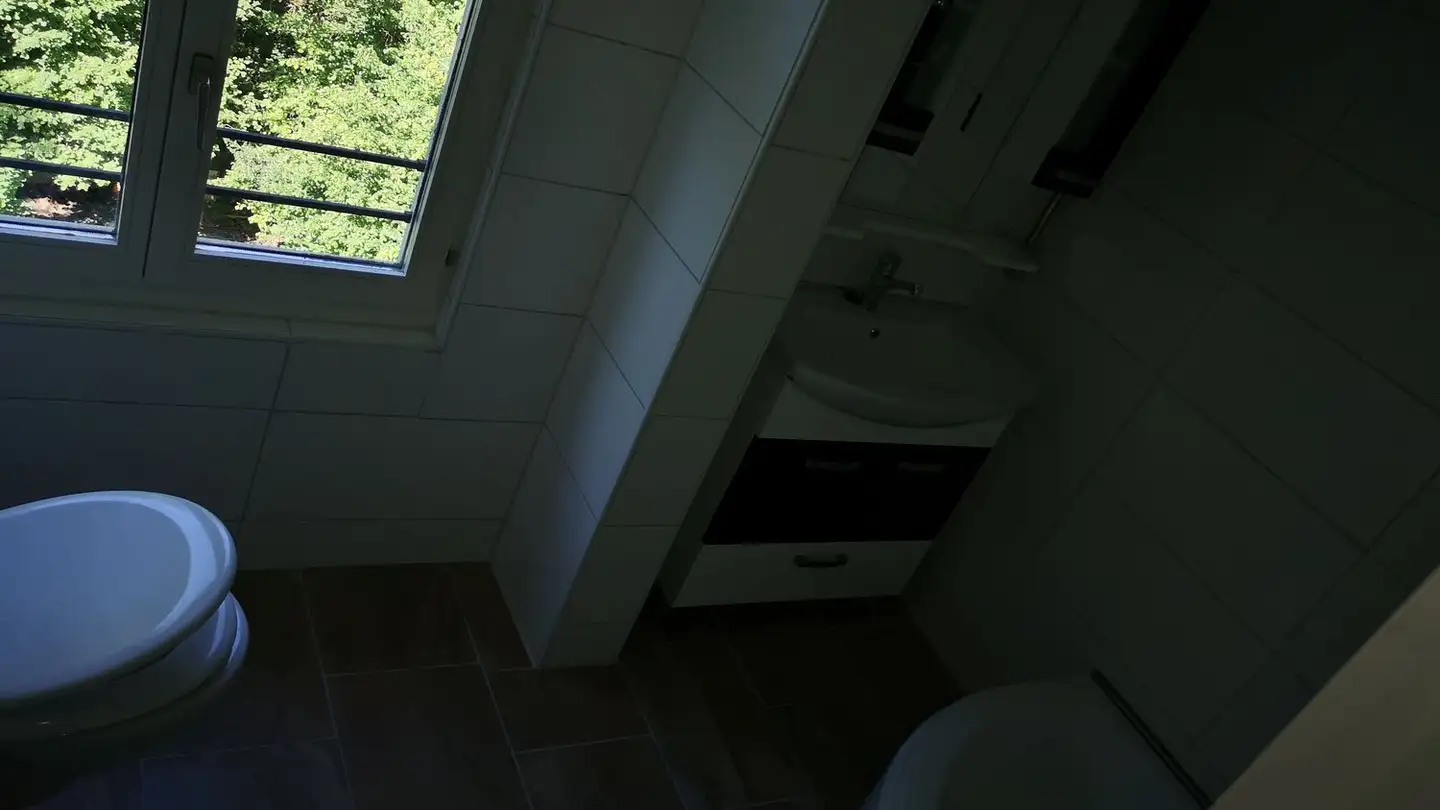 Appartamento in affitto - Hauptstrasse 40, 8376 Fischingen - Foto 4