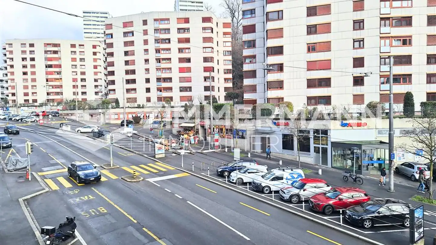 Appartement à louer - Rue De La Borde, 1018 Lausanne