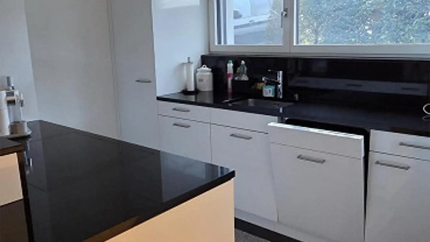 Stepped apartment for rent - 8854 Siebnen - Photo 4