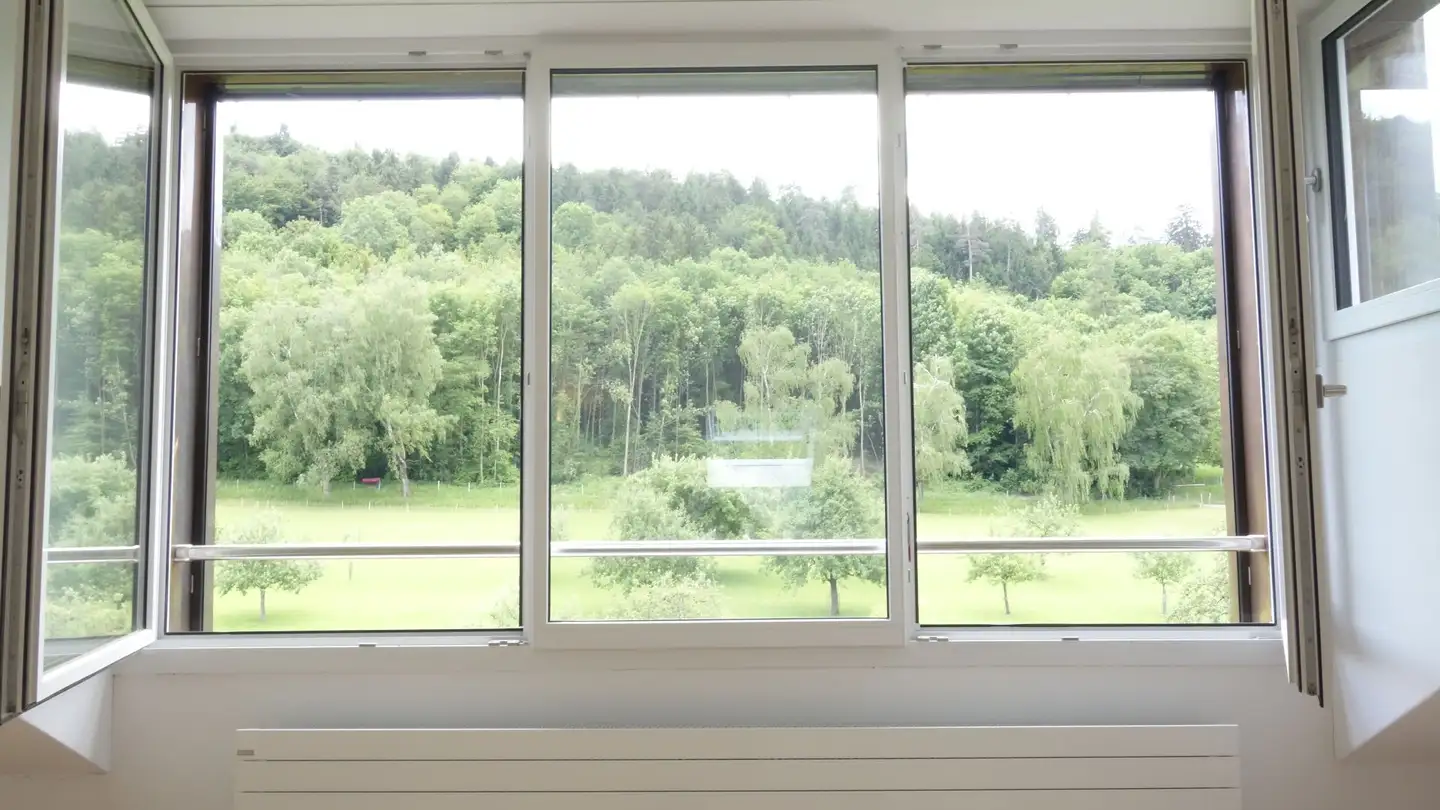 Apartment for rent - Burgstrasse, 8408 Winterthur