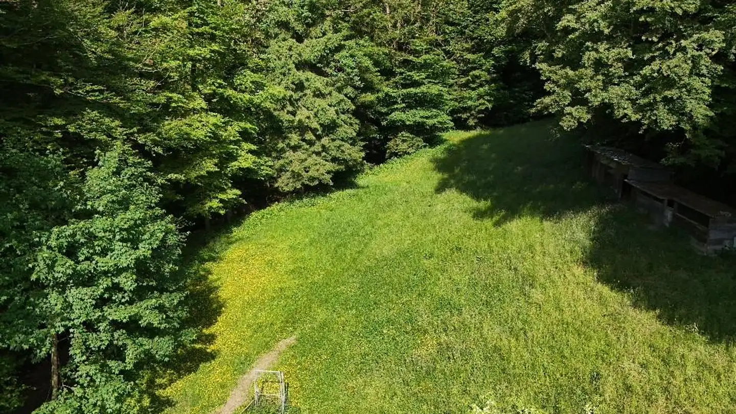 Landwirtschaftsbetrieb mieten - 6016 Hellbühl