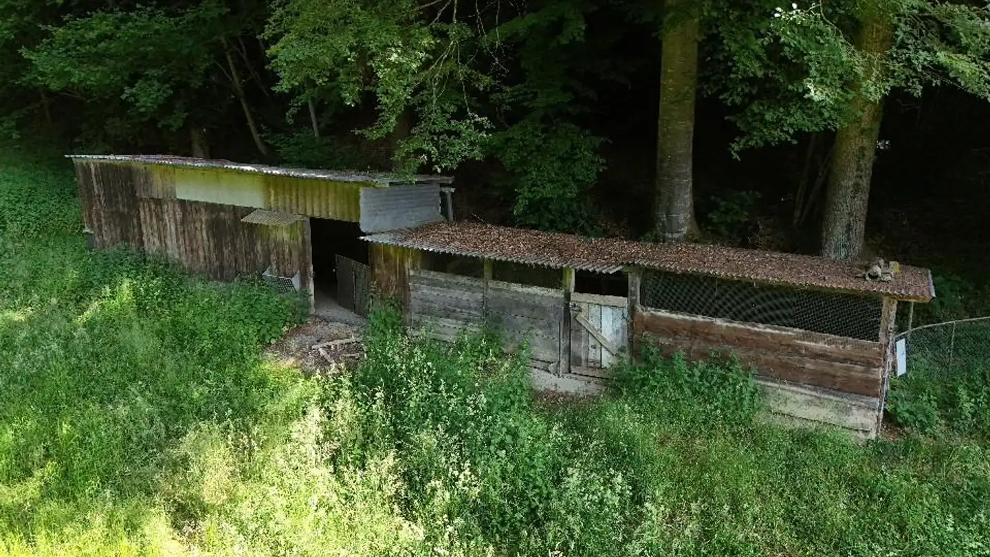 Landwirtschaftsbetrieb mieten - 6016 Hellbühl - Foto 2