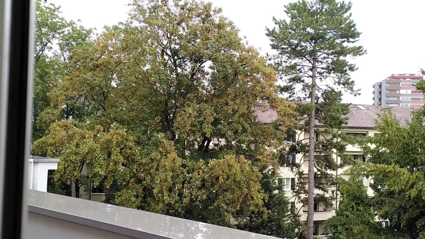 Appartamento in affitto - Bechburgerstrasse 2, 4052 Basel - Foto 3