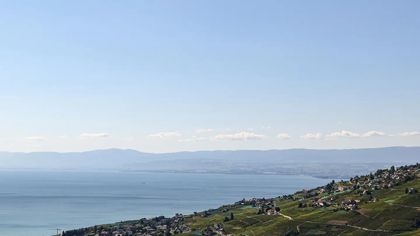 Duplex for sale - 1091 Grandvaux