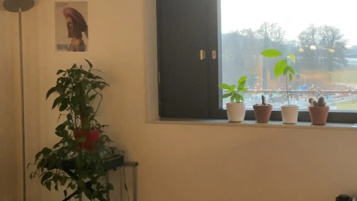 Stanza singola in affitto - 8046 Zürich - Foto 2