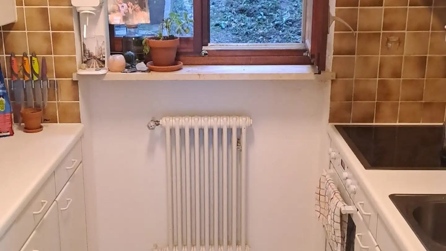 Wohnung mieten - Via Vall'orba, 6977 Ruvigliana - Foto 4