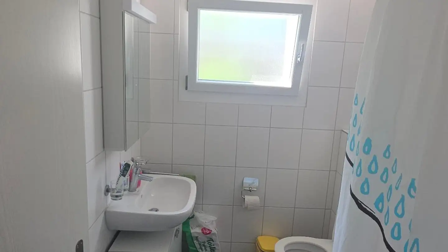 Appartement à louer - Breitsteinweg 15, 4704 Niederbipp - Photo 4