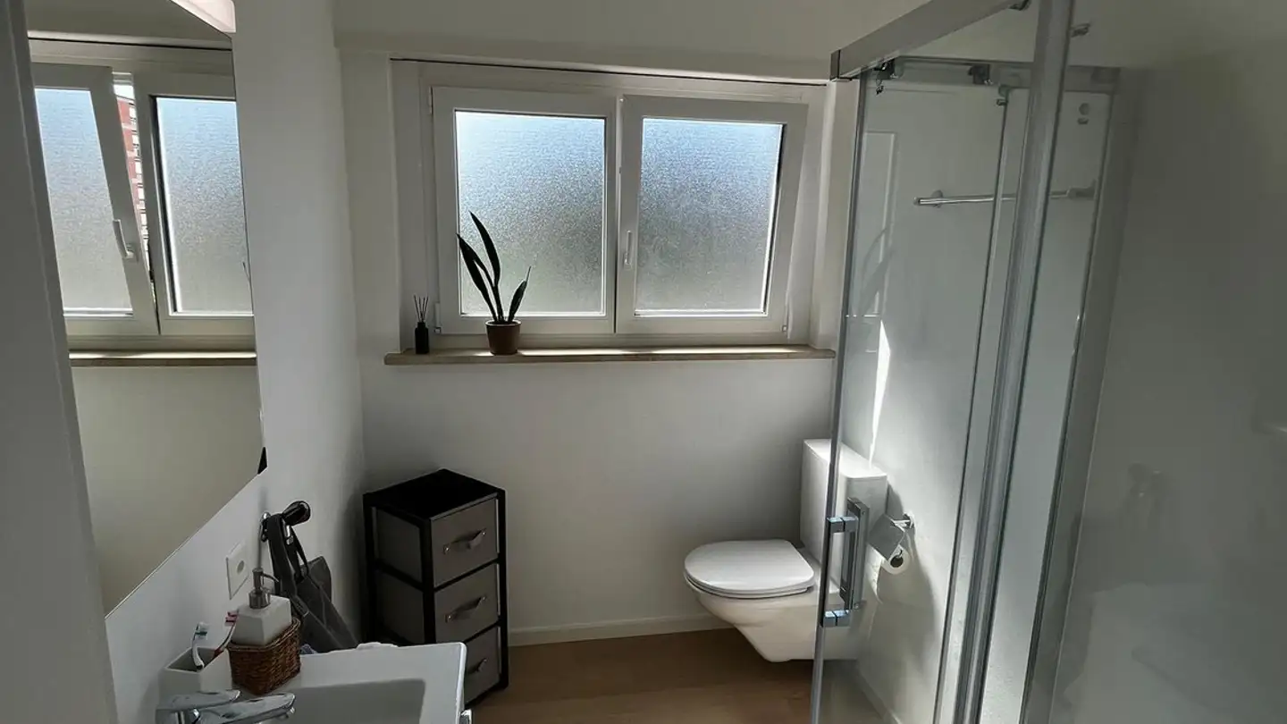 Single room for rent - Via Fola 1, 6963 Pregassona - Photo 4