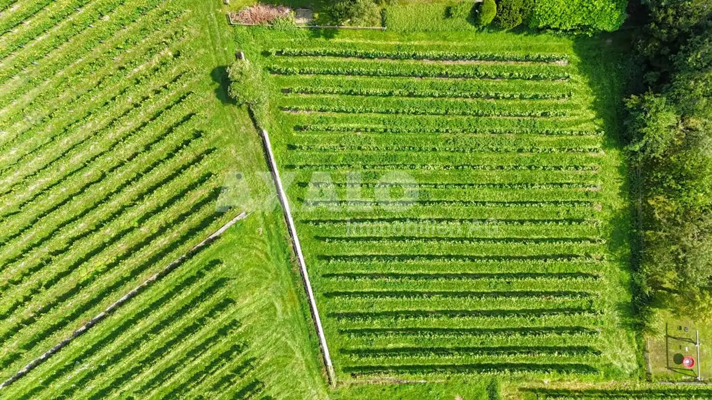 Bauland kaufen - 7304 Maienfeld