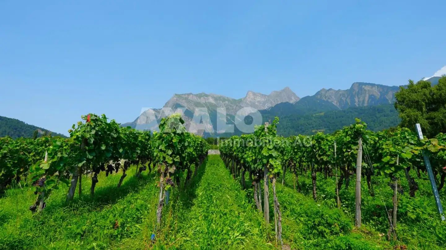 Constructible plot for sale - 7304 Maienfeld - Photo 3