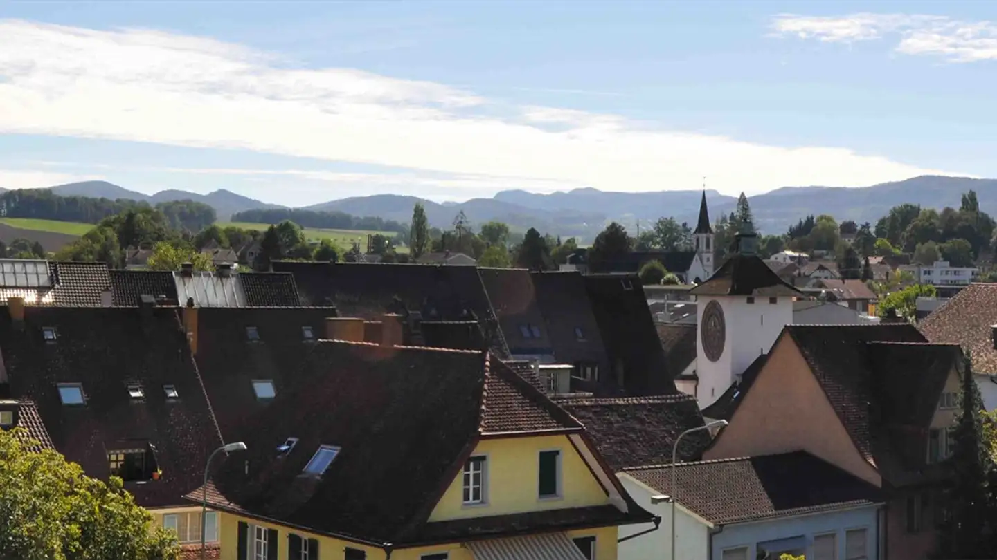 Appartamento in affitto - Röschenzstrasse 14, 4242 Laufen
