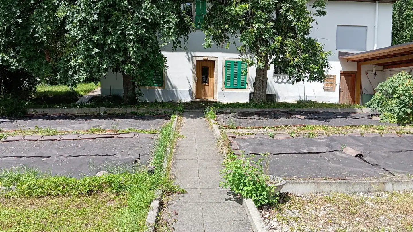 Maison individuelle à louer - Rue Du Réservoir 8, 2800 Delémont