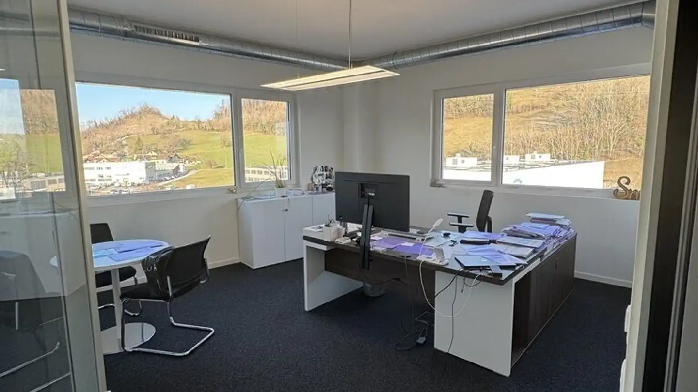 Spazio ufficio in affitto - Route Du Verney, 1070 Puidoux - Photo 4