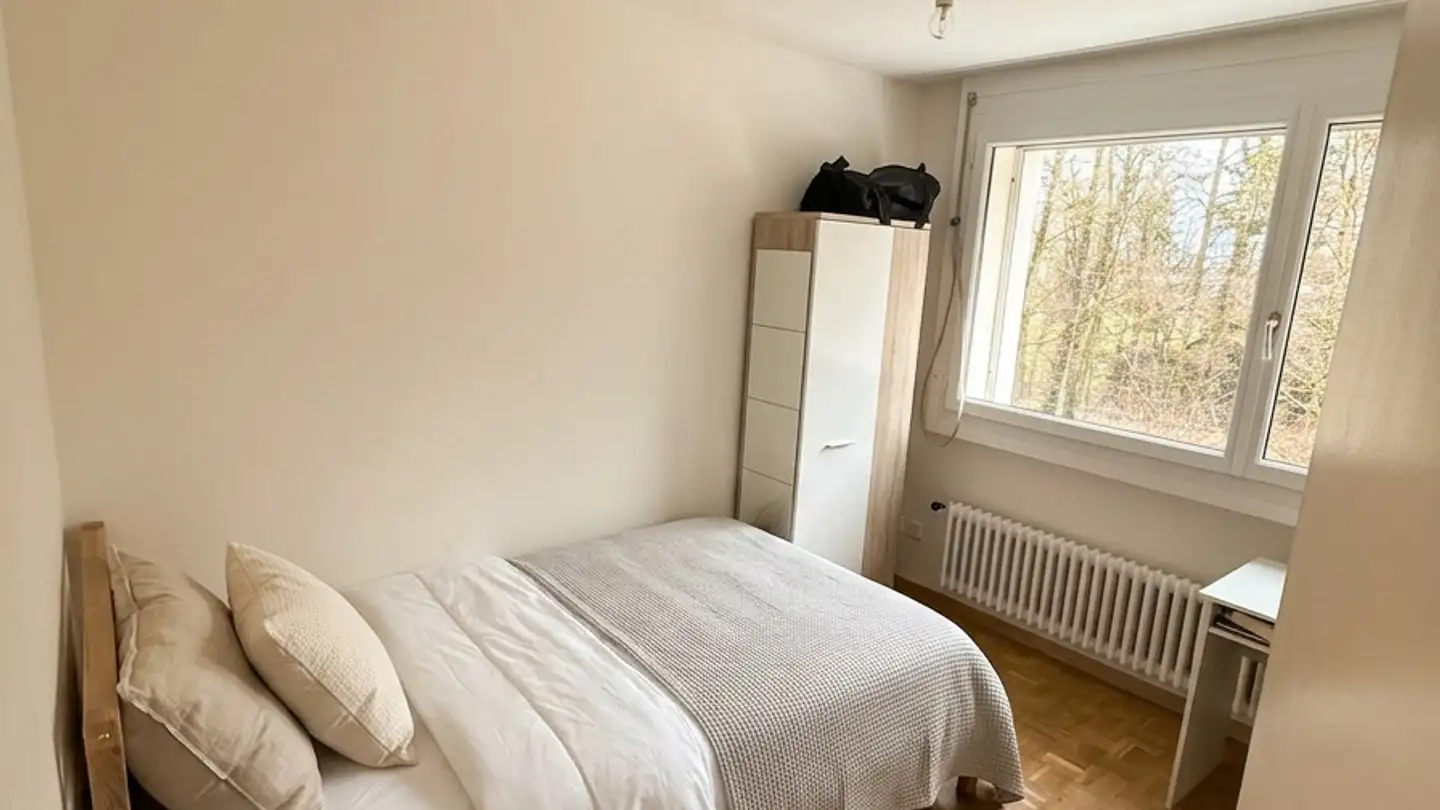 Chambre à louer - Kirchweg 79, 8102 Oberengstringen
