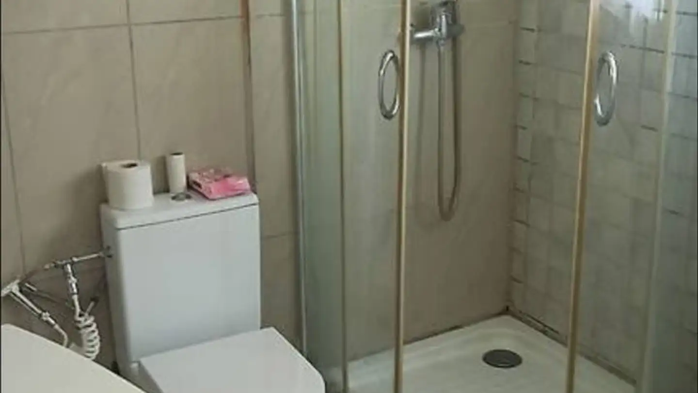 Chambre à louer - Alte Bremgartenstrasse 22, 8964 Rudolfstetten - Photo 3