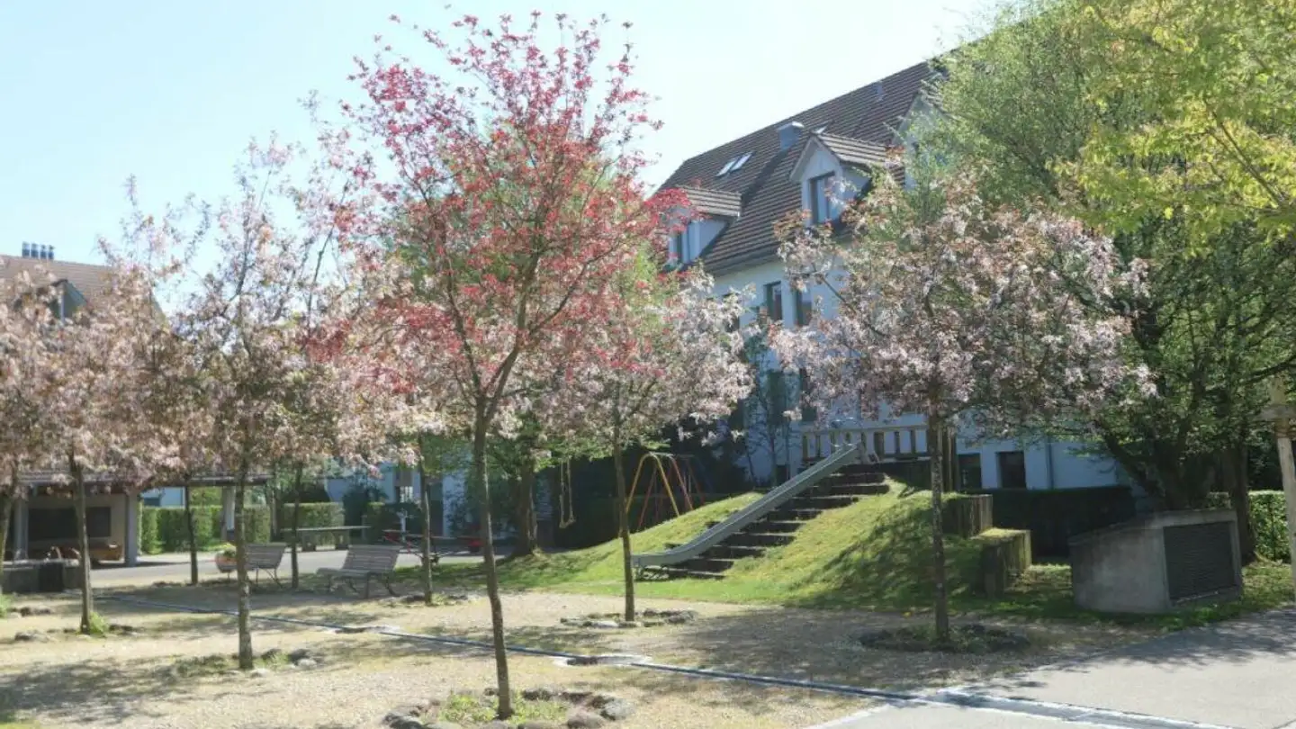 Appartamento in affitto - Geerenwiesstrasse 7, 8105 Watt - Foto 2