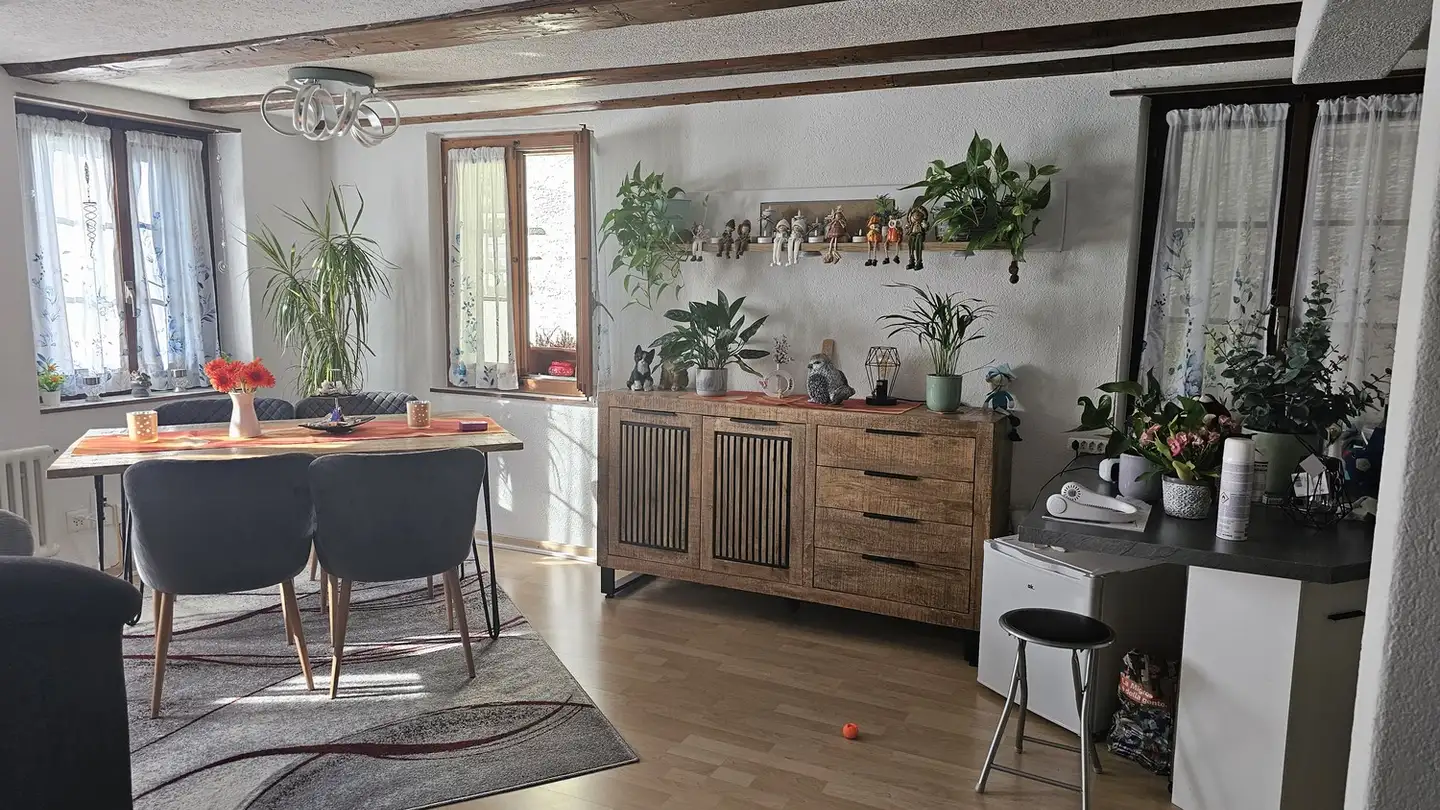 Apartment for rent - Seestrasse 14, 8330 Pfäffikon ZH