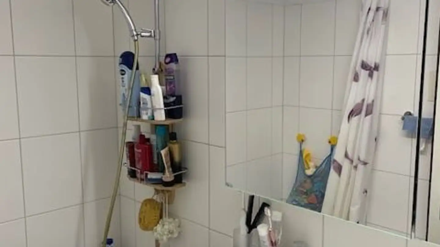 Appartamento in affitto - Gutstrasse 53, 8400 Winterthur - Photo 3