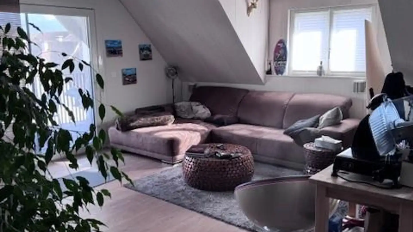 Appartamento in affitto - Welsikerstrasse 26, 8474 Dinhard - Foto 3