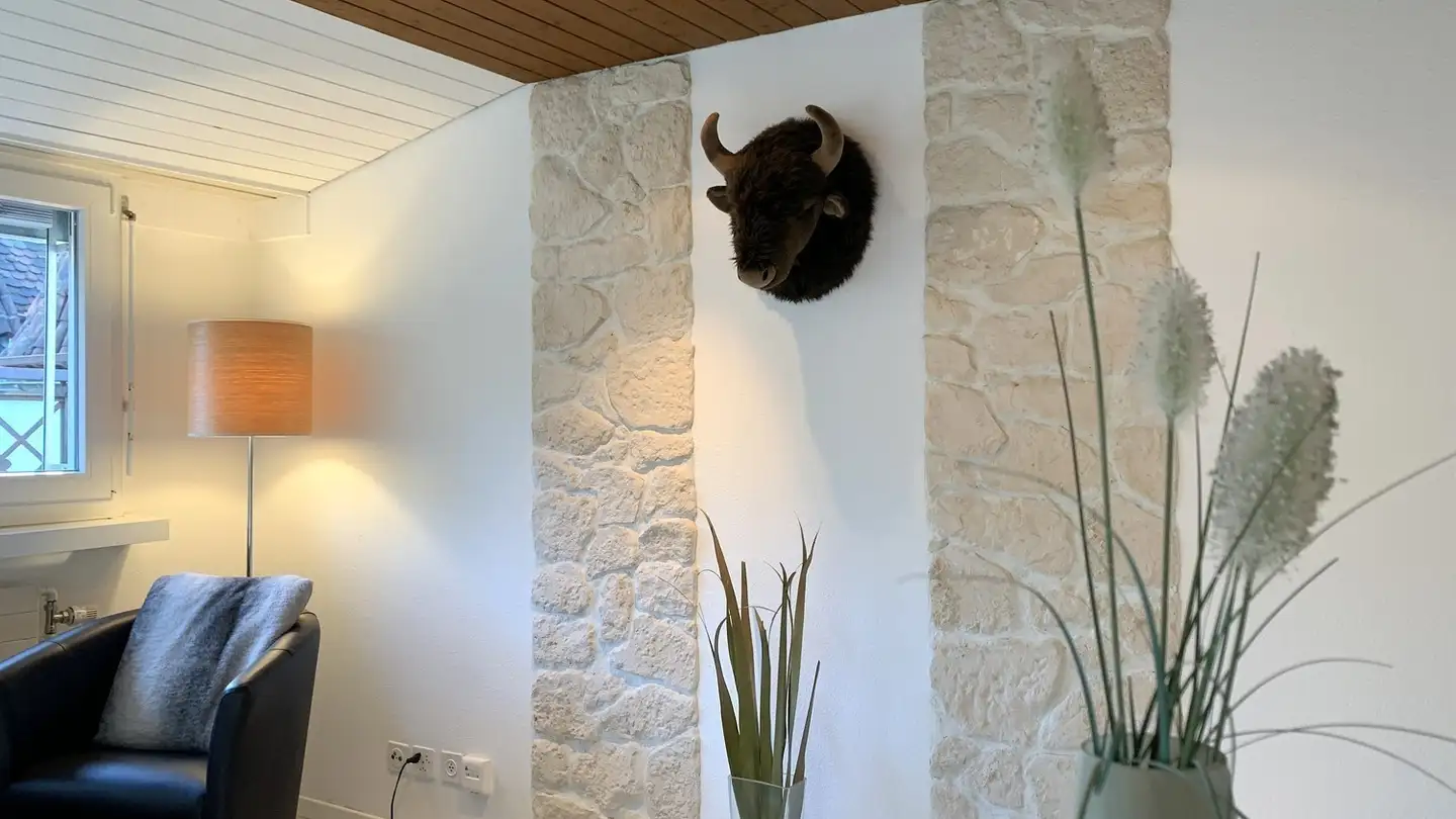 Apartment for rent - Spisergasse 43, 9000 St. Gallen - Photo 2