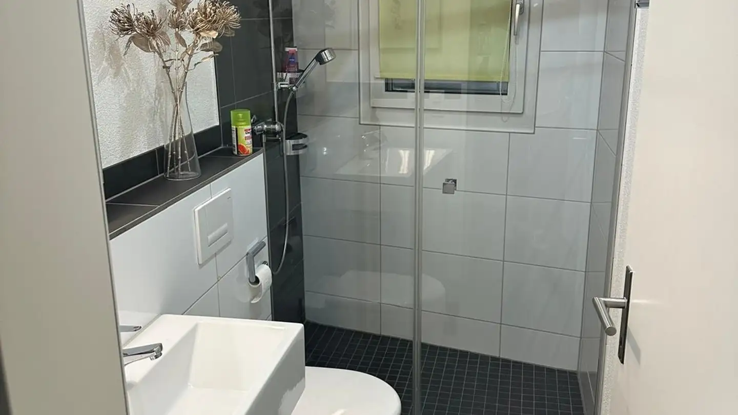 Appartement à louer - 8045 Zürich - Photo 4