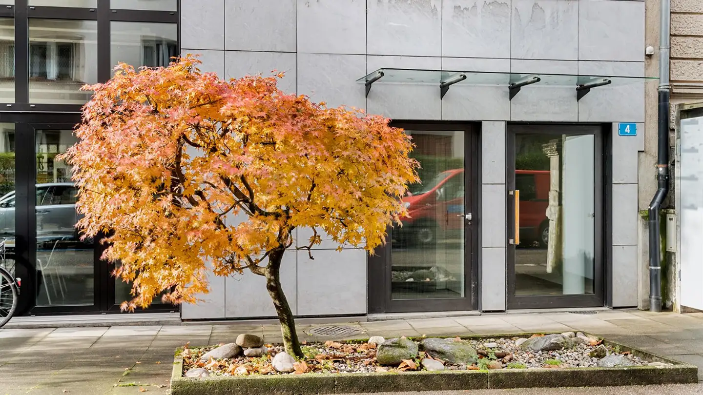 Appartamento in affitto - Ramsteinerstrasse 4, 4052 Basel - Foto 2