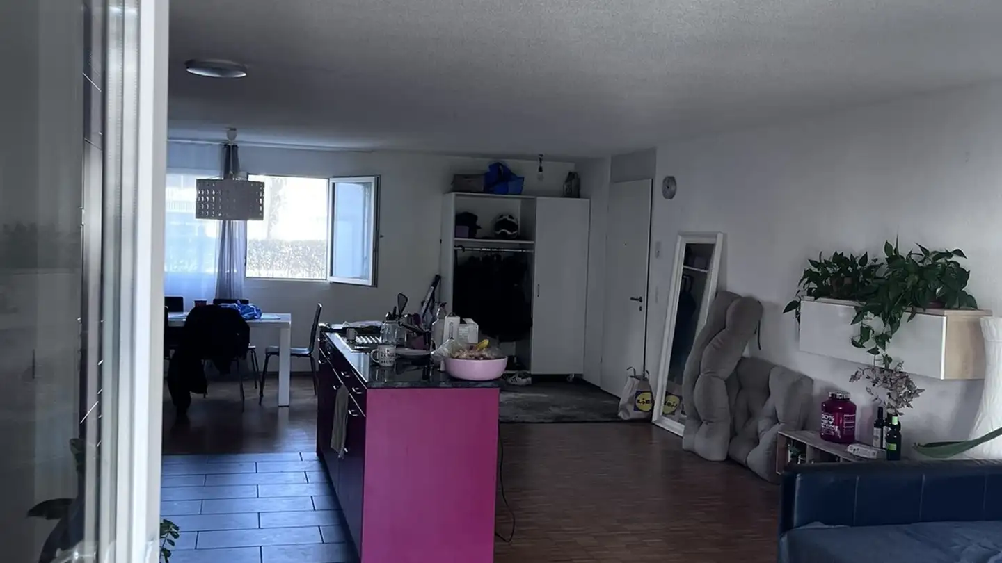 Chambre à louer - 8952 Schlieren - Photo 4