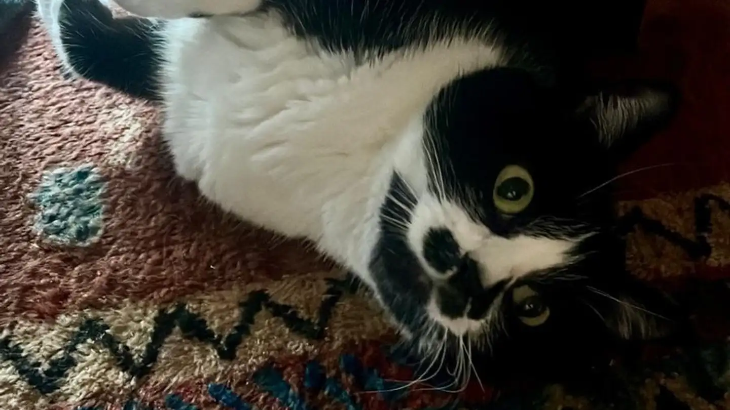 Stanza singola in affitto - Zürcherstrasse 63, 5400 Baden - Photo 3