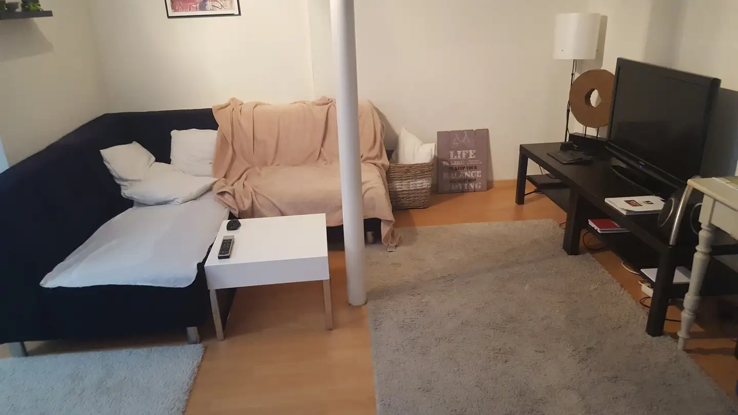 Appartamento in affitto - Bremgartnerstrasse 71, 8003 Zürich - Foto 3