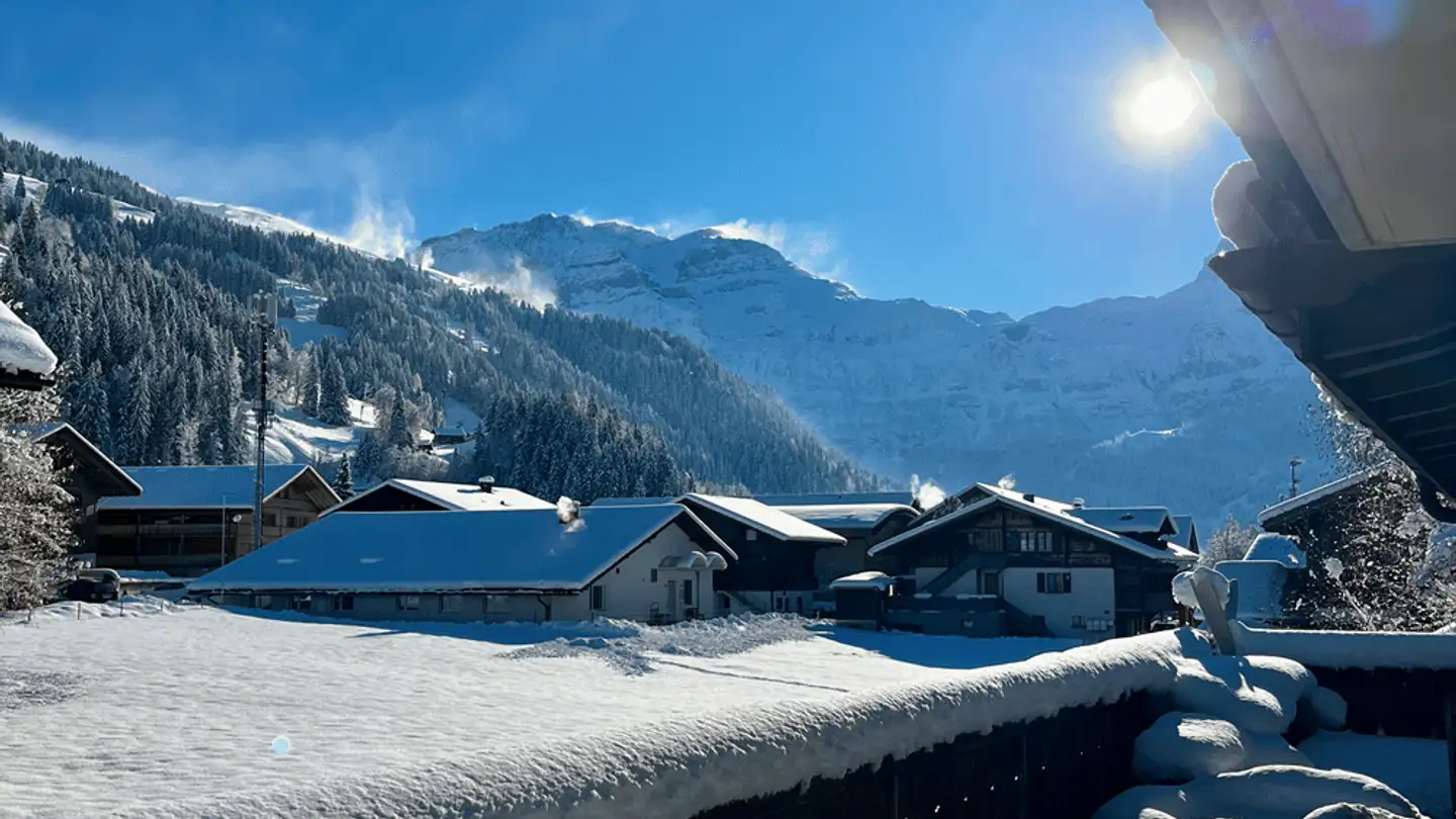 Appartement à vendre - Oberriedstrasse 5, 3775 Lenk im Simmental - Photo 4