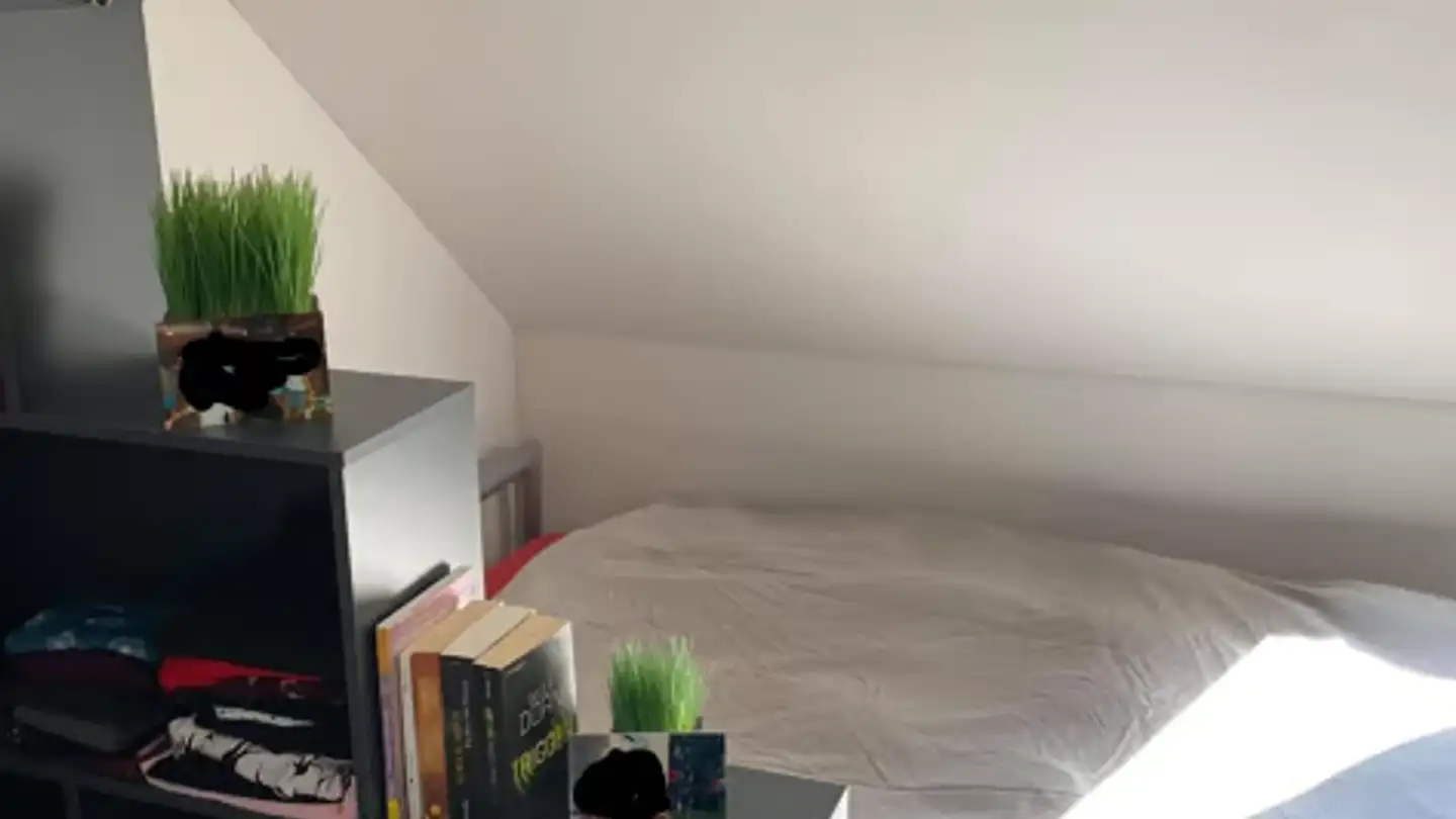 Furnished apartment for rent - 8424 Embrach - Photo 3