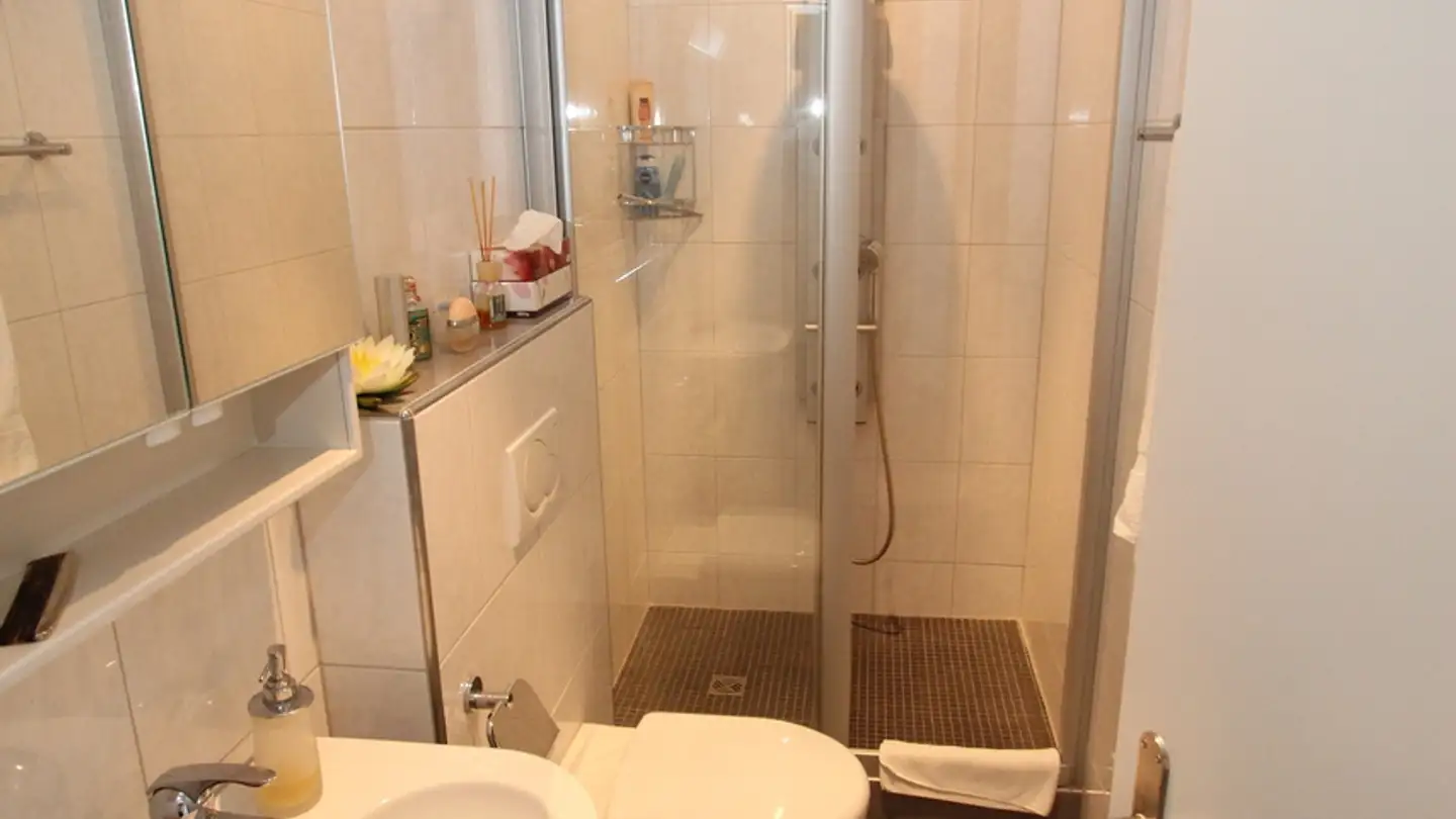 Appartamento in vendita - Roggenfarstrasse 8, 8193 Eglisau - Photo 4