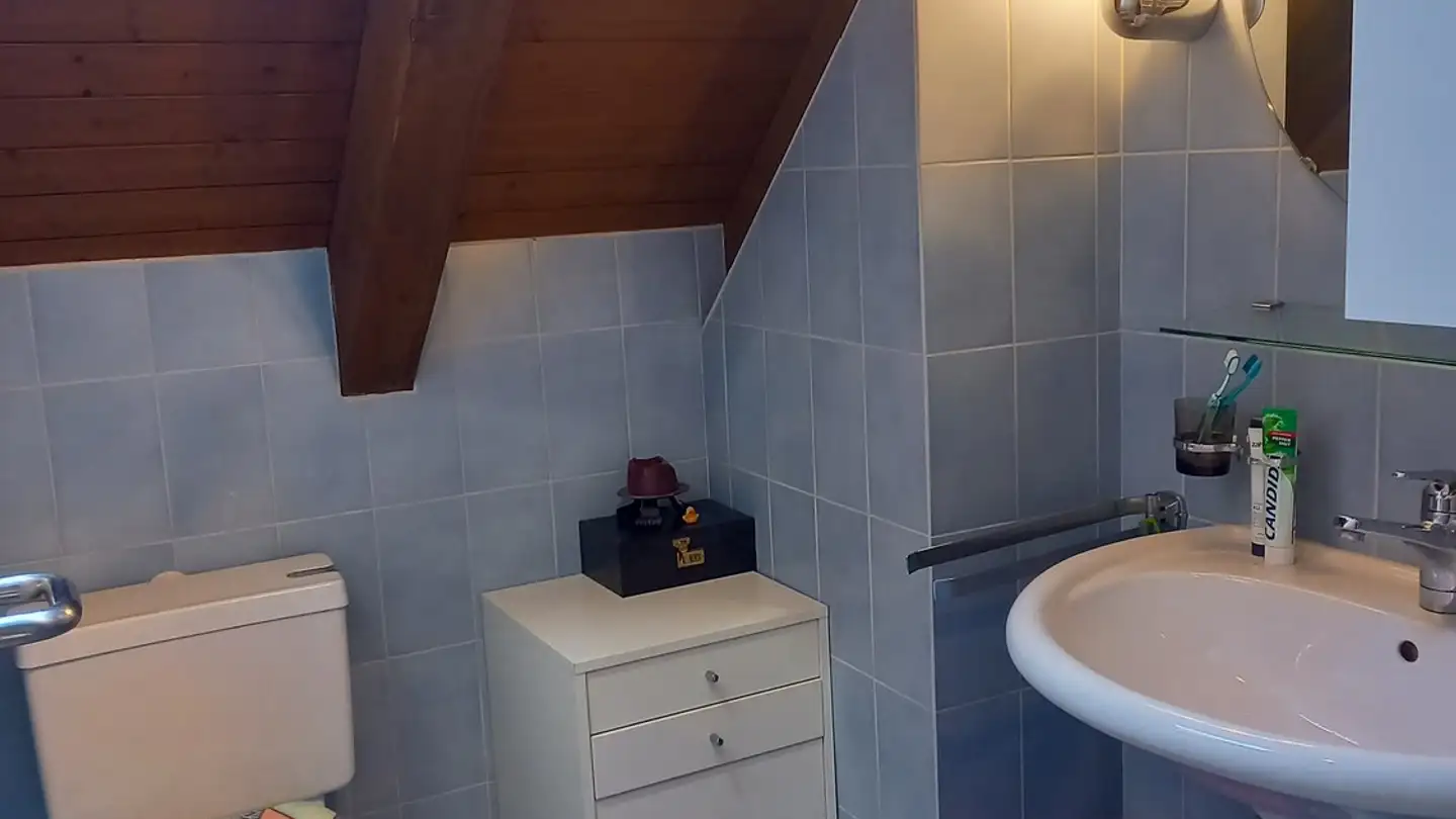 Appartement à louer - Eisenhofstrasse 2, 8810 Horgen - Photo 4