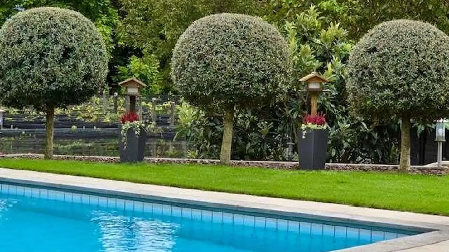 Villa in vendita - 6984 Pura - Photo 3