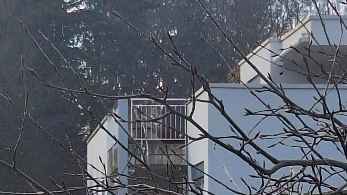 Appartement à louer - Hausmattweg 10, 4573 Lohn-Ammannsegg - Photo 2