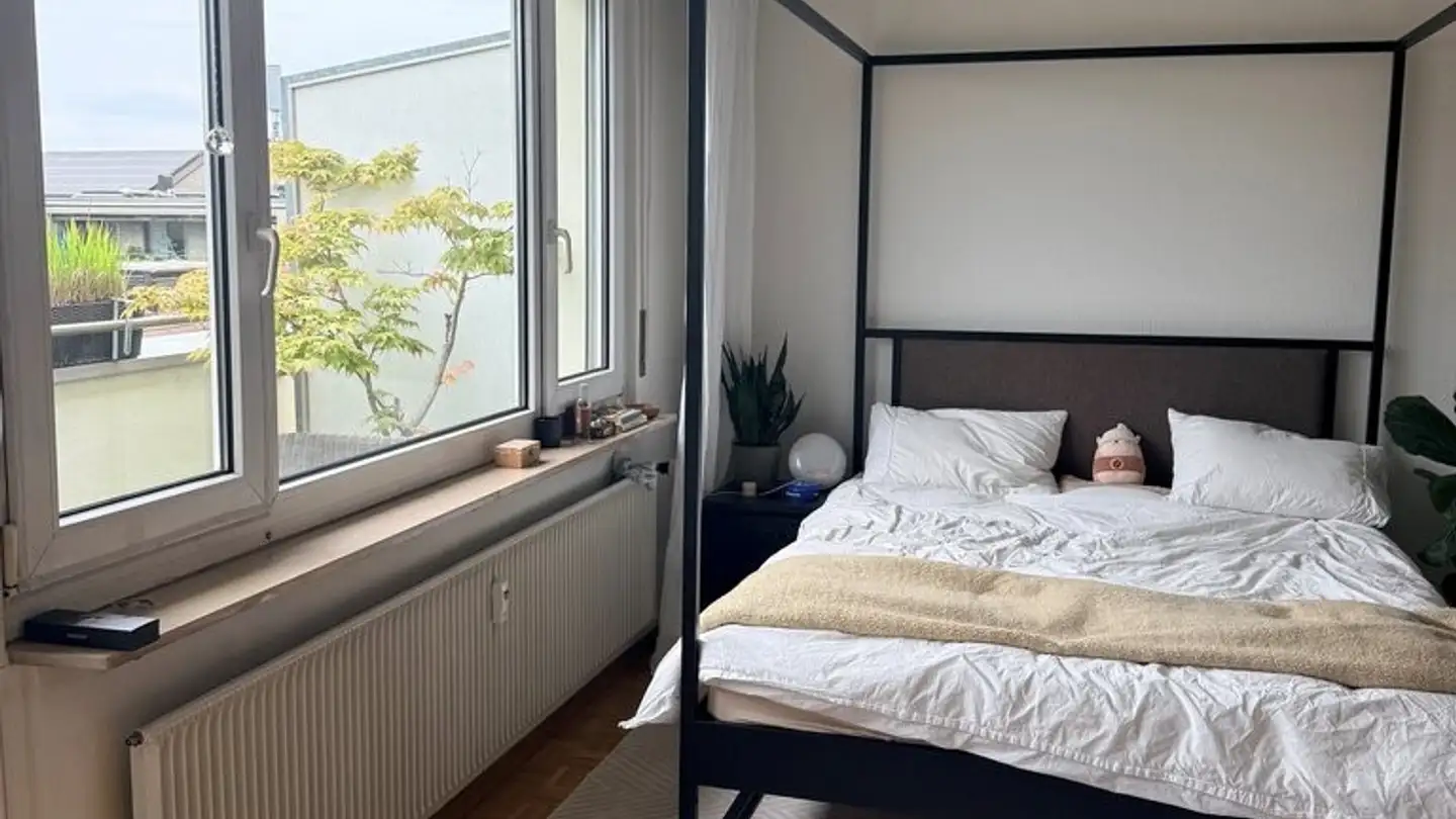 Attico in affitto - Ramsteinerstrasse 8, 4052 Basel - Foto 4