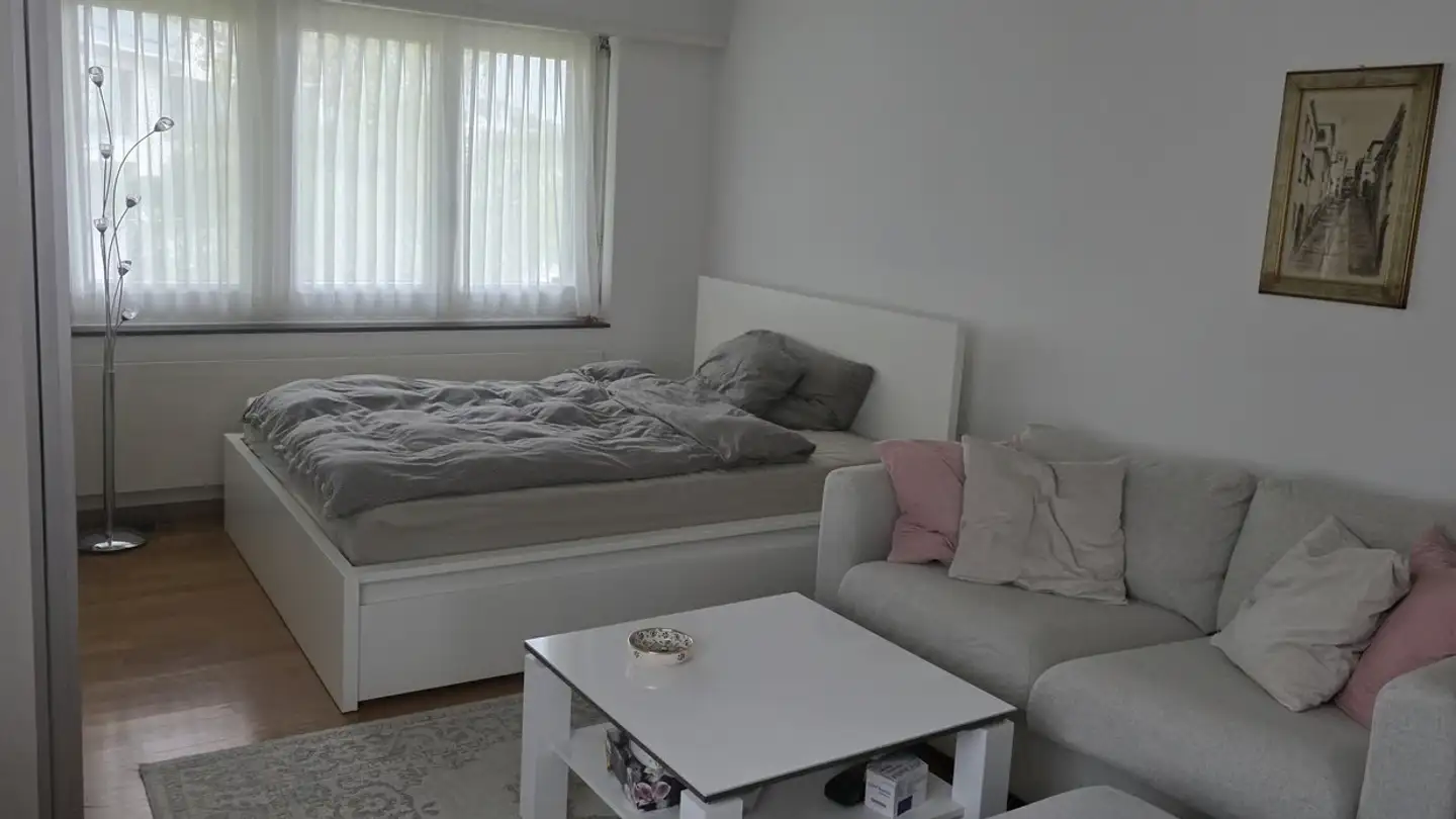 Appartamento ammobiliato in affitto - 8706 Meilen - Foto 3
