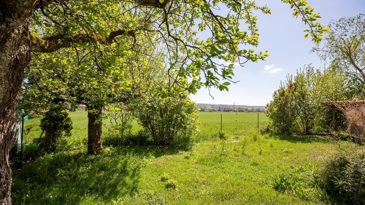 Einfamilienhaus kaufen - Webereistrasse 11, 4512 Bellach - Foto 3