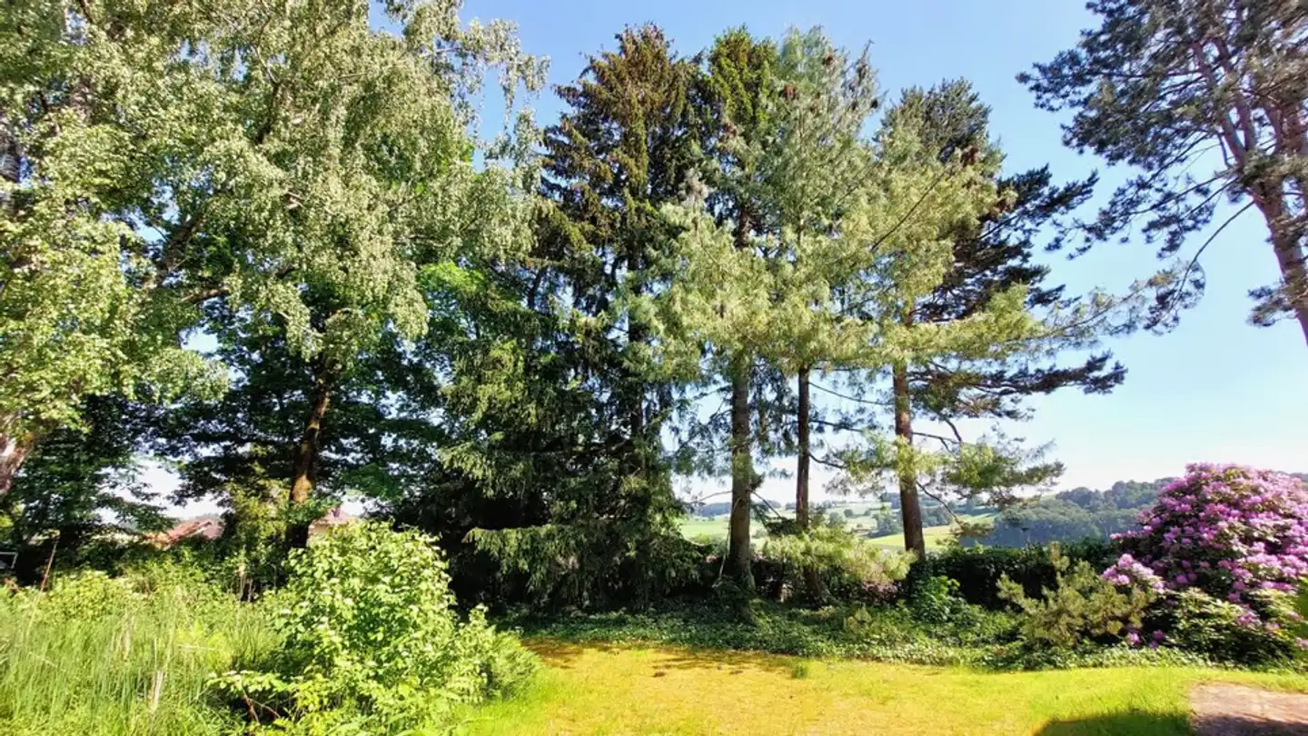 Constructible plot for sale - 3182 Ueberstorf - Photo 4