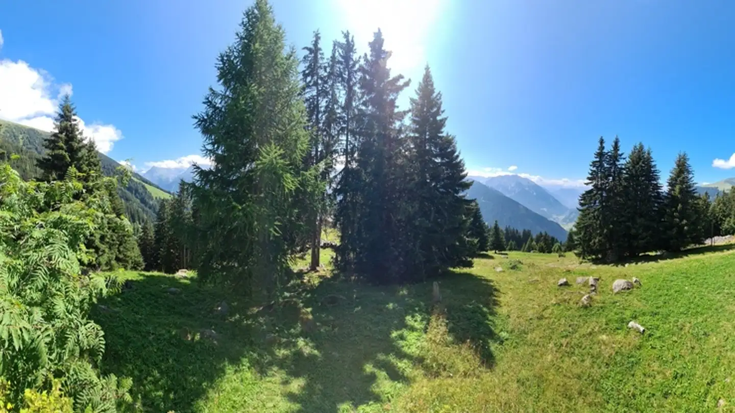 Chalet kaufen - Chemin Du Hattey 6, 1936 Verbier - Foto 2