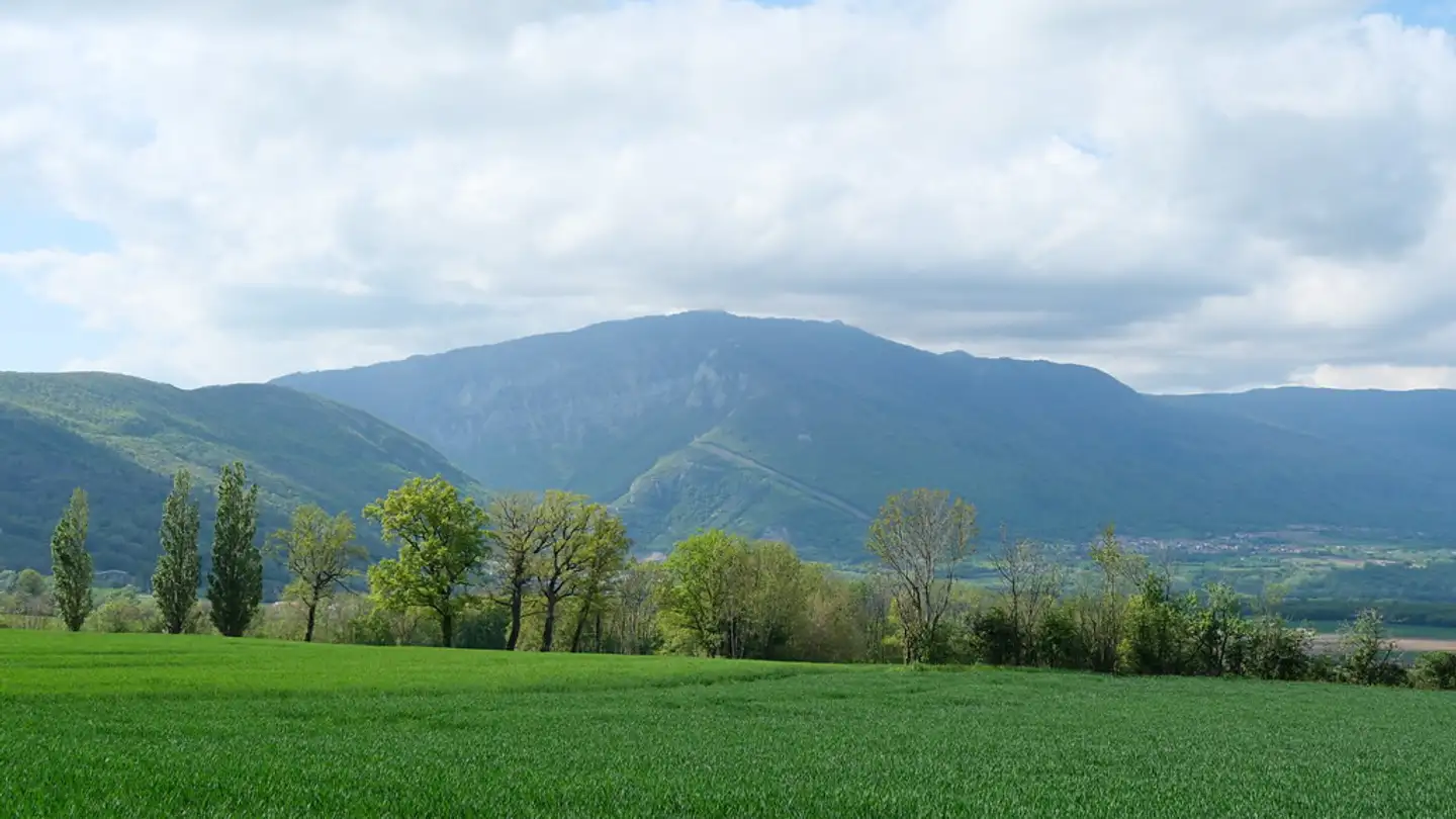 Terrain constructible à vendre - 1204 Genève