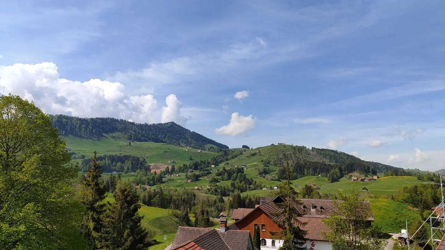 Attico in affitto - Alte Linde 4, 9054 Haslen AI