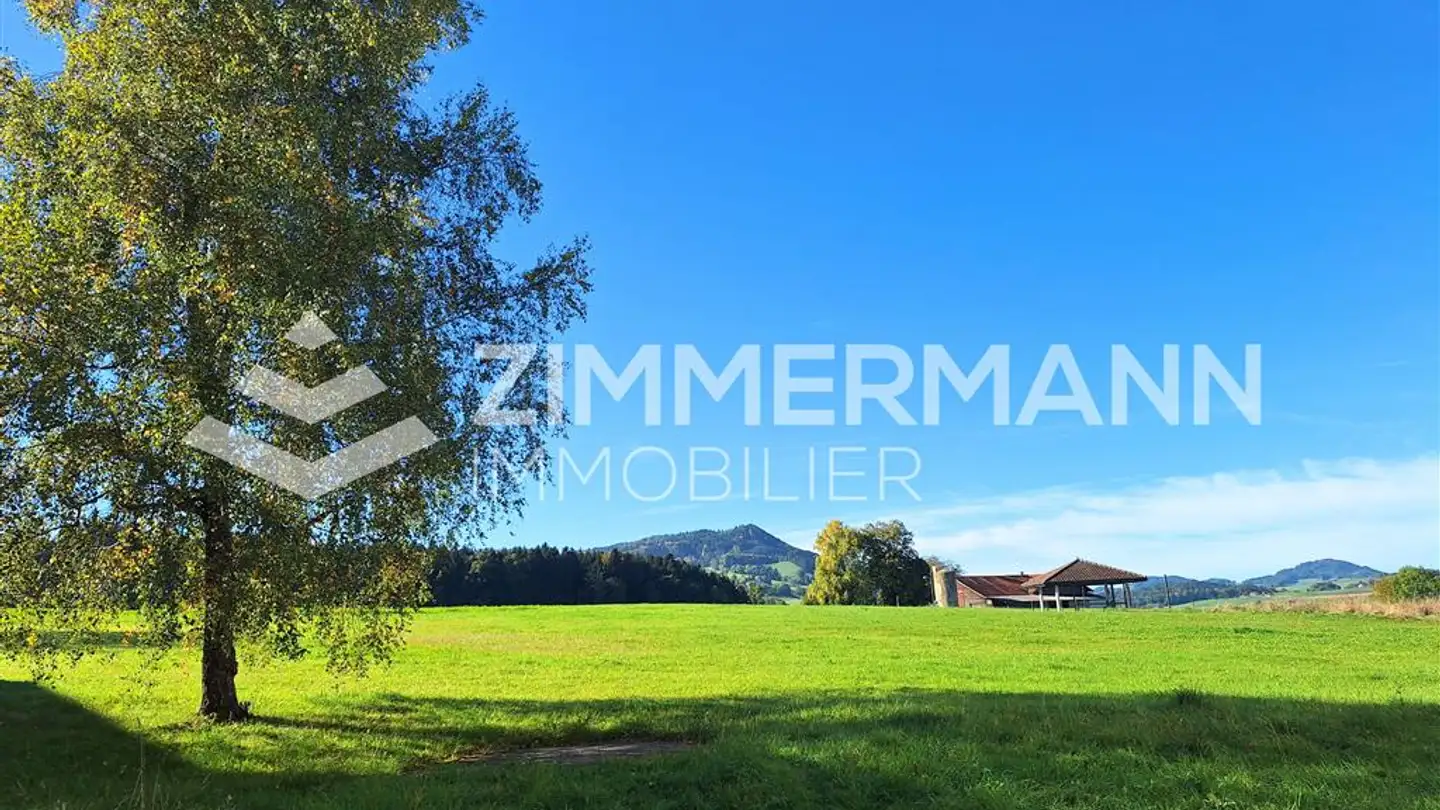 Apartment for rent - Chemin De La Jonquille, 1607 Palézieux - Photo 2