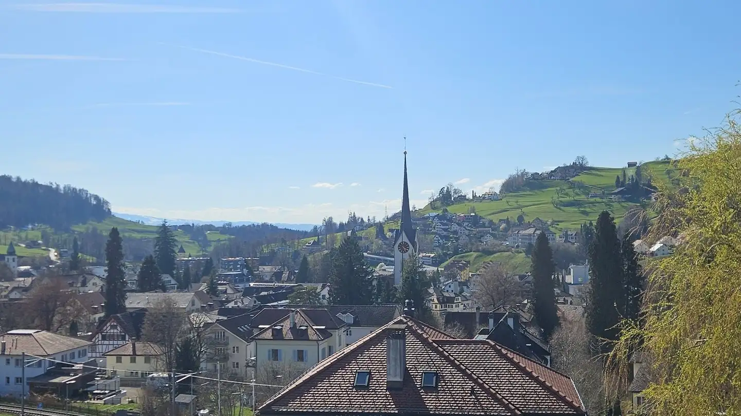 Appartamento in affitto - Hömelstrasse 6, 8636 Wald ZH - Foto 4