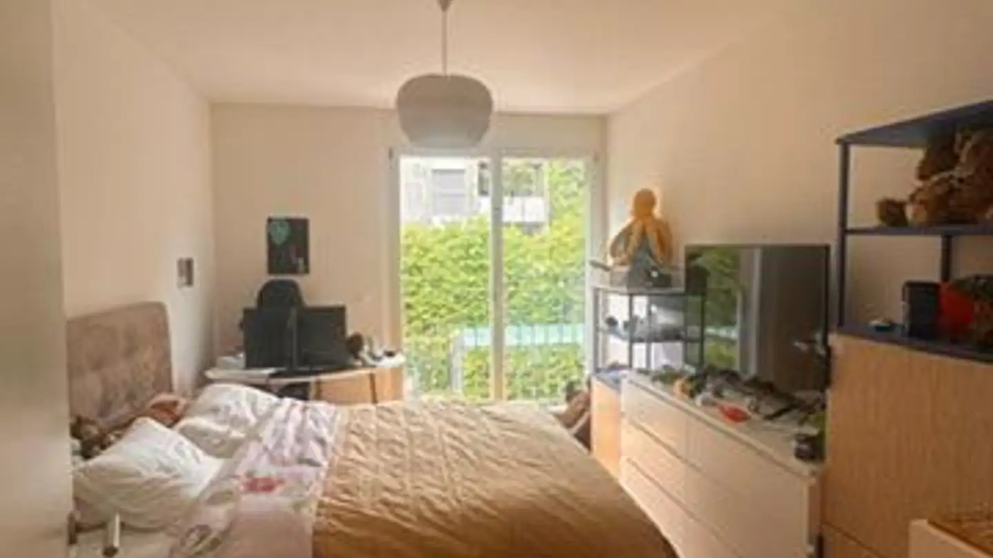 Appartamento in affitto - 1234 Vessy - Foto 4