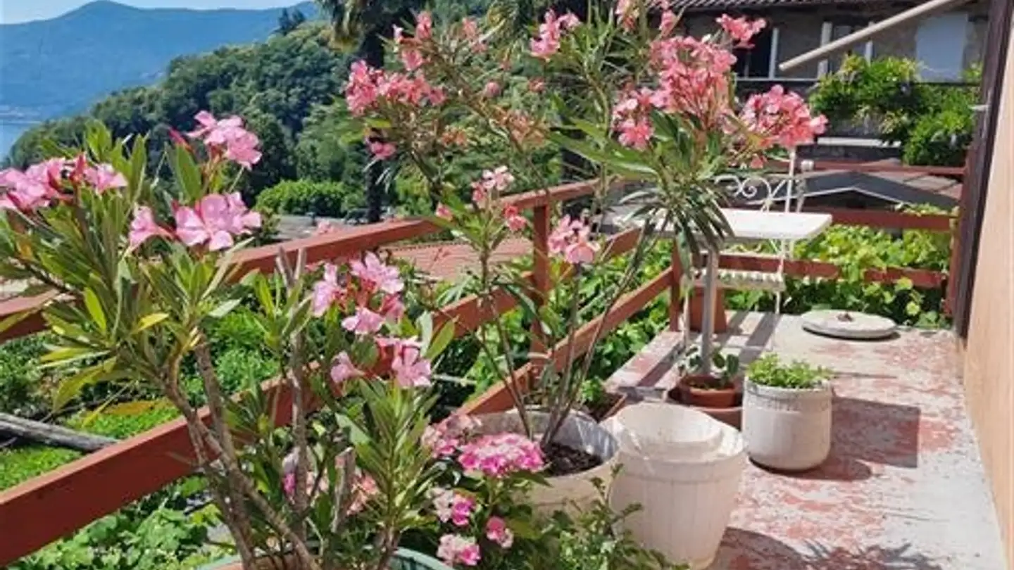 Edificio residenziale in vendita - 6614 Brissago - Photo 3