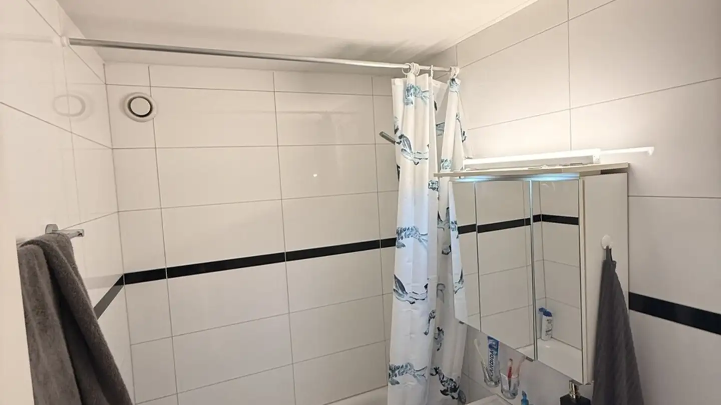 Apartment for rent - Eggrainweg 20, 4402 Frenkendorf - Photo 3