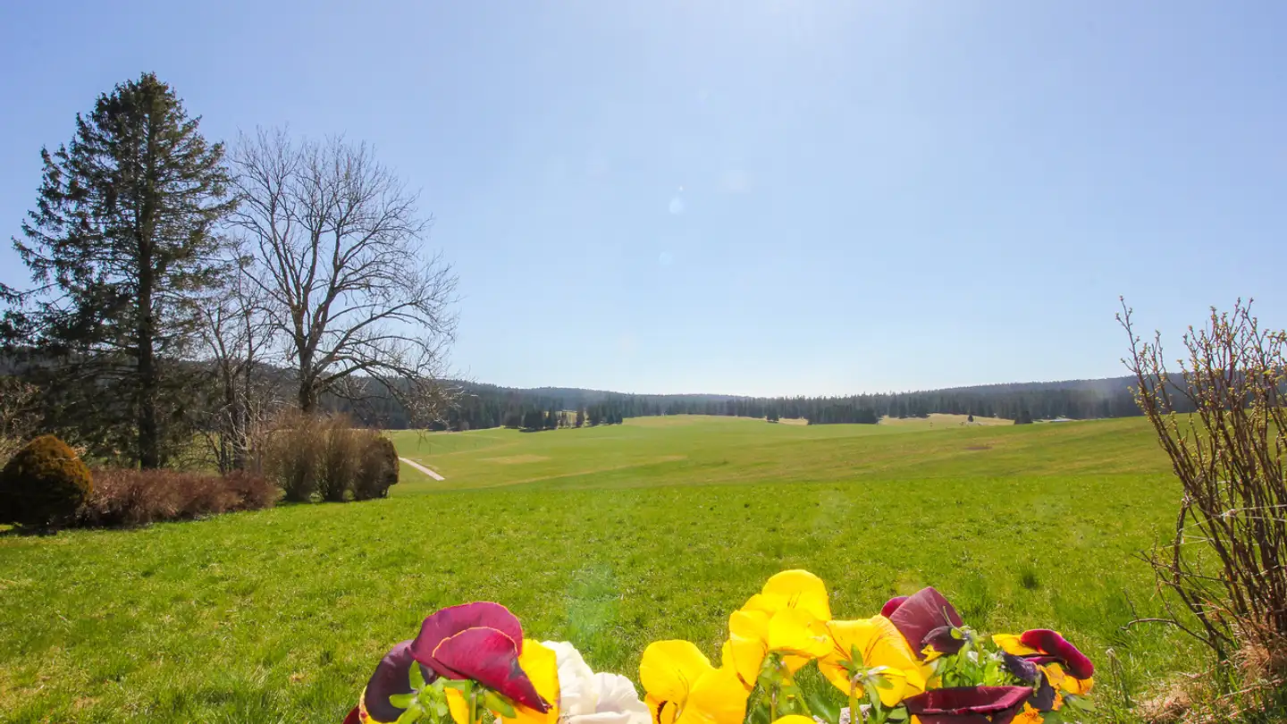 Casa singola in vendita - Grand'rue 147, 1454 L'Auberson - Photo 4